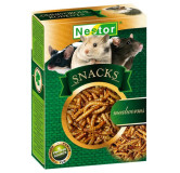 Nestor Snacks - larwa mącznika