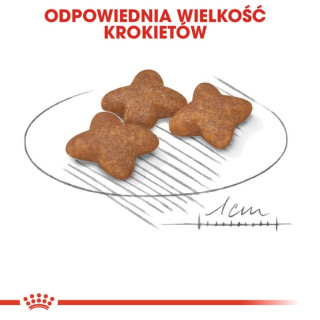 Royal Canin Mini Adult karma sucha dla psów dorosłych, ras małych 2kg