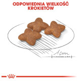 Royal Canin Mini Adult karma sucha dla psów dorosłych, ras małych 2kg