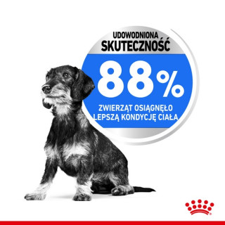 Royal Canin Mini Light Weight Care karma sucha dla psów dorosłych, ras małych z tendencją do nadwagi 8kg