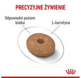 Royal Canin Mini Light Weight Care karma sucha dla psów dorosłych, ras małych z tendencją do nadwagi 8kg