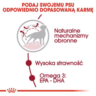 Royal Canin Medium Adult karma sucha dla psów dorosłych, ras średnich 4kg