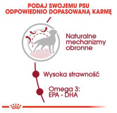 Royal Canin Medium Adult karma sucha dla psów dorosłych, ras średnich 4kg