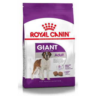 Royal Canin Giant Adult karma sucha dla psów dorosłych, od 18/24 miesiąca życia, ras olbrzymich 15kg