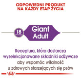 Royal Canin Giant Adult karma sucha dla psów dorosłych, od 18/24 miesiąca życia, ras olbrzymich 15kg