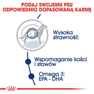 Royal Canin Maxi Adult karma sucha dla psów dorosłych, do 5 roku życia, ras dużych 18kg (15+3kg)