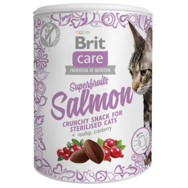 Brit Care Cat Snack Superfruits Salmon 100g