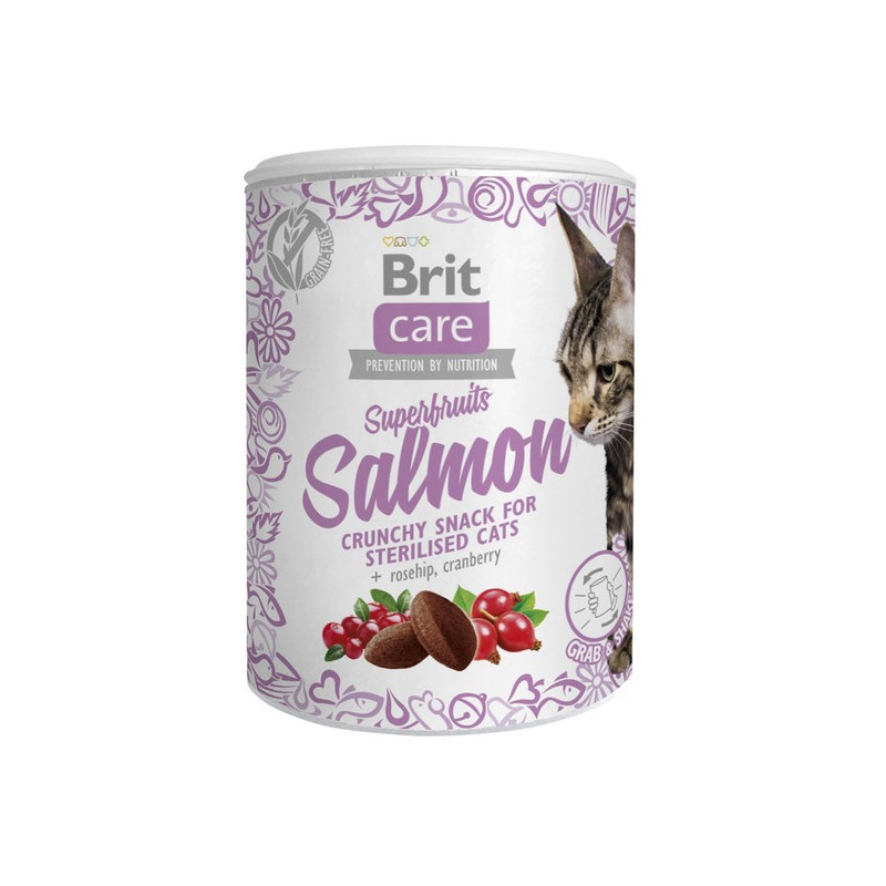 Brit Care Cat Snack Superfruits Salmon 100g