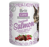 Brit Care Cat Snack Superfruits Salmon 100g