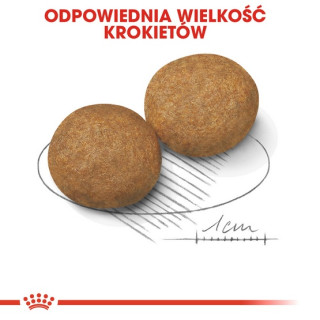 Royal Canin Medium Adult karma sucha dla psów dorosłych, ras średnich 15kg