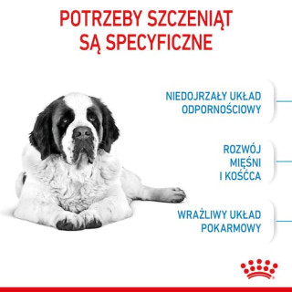 Royal Canin Giant Junior karma sucha dla szczeniąt  od 8 do 18/24 miesiąca życia, ras olbrzymich 15kg