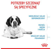 Royal Canin Giant Junior karma sucha dla szczeniąt  od 8 do 18/24 miesiąca życia, ras olbrzymich 15kg