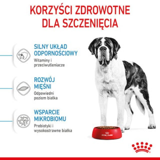 Royal Canin Giant Junior karma sucha dla szczeniąt  od 8 do 18/24 miesiąca życia, ras olbrzymich 15kg