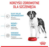 Royal Canin Giant Junior karma sucha dla szczeniąt  od 8 do 18/24 miesiąca życia, ras olbrzymich 15kg