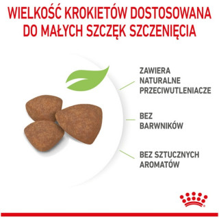 Royal Canin Mini Puppy karma sucha dla szczeniąt, od 2 do 10 miesiąca życia, ras małych 8kg