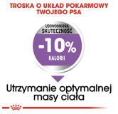 Royal Canin Medium Sterilised karma sucha dla psów dorosłych, ras średnich, sterylizowanych 3kg