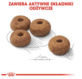 Royal Canin Medium Sterilised karma sucha dla psów dorosłych, ras średnich, sterylizowanych 3kg