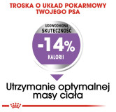 Royal Canin Mini Sterilised karma sucha dla psów dorosłych, ras małych, sterylizowanych 8kg