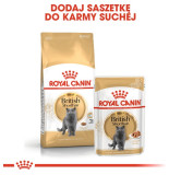 Royal Canin British Shorthair Adult karma sucha dla kotów dorosłych rasy brytyjski krótkowłosy 400g