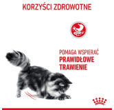 Royal Canin Digestive Care karma sucha dla kotów dorosłych, wspomagająca przebieg trawienia 2kg