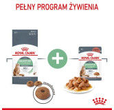 Royal Canin Digestive Care karma sucha dla kotów dorosłych, wspomagająca przebieg trawienia 2kg