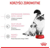 Royal Canin Mother&Babycat karma sucha dla kotek w okresie ciąży, laktacji i kociąt od 1 do 4 miesiąca 4kg