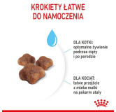 Royal Canin Mother&Babycat karma sucha dla kotek w okresie ciąży, laktacji i kociąt od 1 do 4 miesiąca 4kg