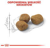 Royal Canin Fit karma sucha dla kotów dorosłych, wspierająca idealną kondycję 2kg