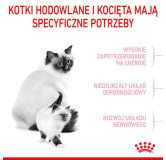 Royal Canin Mother&Babycat karma sucha dla kotek w okresie ciąży, laktacji i kociąt od 1 do 4 miesiąca 400g