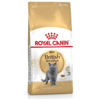 Royal Canin British Shorthair Adult karma sucha dla kotów dorosłych rasy brytyjski krótkowłosy 4kg