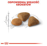 Royal Canin Savour Exigent karma sucha dla kotów dorosłych, wybrednych, kierujących się teksturą krokieta 10kg