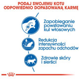 Royal Canin Indoor Long Hair karma sucha dla kotów dorosłych, długowłose, przebywających wyłącznie w domu 10kg