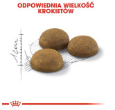 Royal Canin Indoor Long Hair karma sucha dla kotów dorosłych, długowłose, przebywających wyłącznie w domu 400g