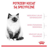 Royal Canin Kitten karma sucha dla kociąt od 4 do 12 miesiąca życia 400g