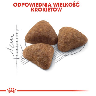 Royal Canin Indoor karma sucha dla kotów dorosłych, przebywających wyłącznie w domu 400g