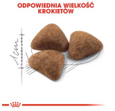 Royal Canin Indoor karma sucha dla kotów dorosłych, przebywających wyłącznie w domu 400g