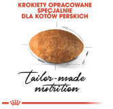 Royal Canin Persian Adult karma sucha dla kotów dorosłych rasy perskiej 2kg