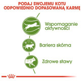 Royal Canin Outdoor karma sucha dla kotów dorosłych, wychodzących na zewnątrz 2kg