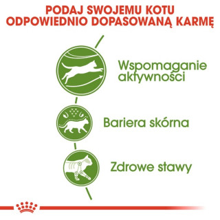 Royal Canin Outdoor karma sucha dla kotów dorosłych, wychodzących na zewnątrz 400g