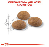 Royal Canin Outdoor karma sucha dla kotów dorosłych, wychodzących na zewnątrz 4kg