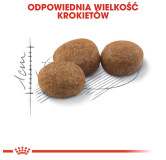 Royal Canin Sterilised karma sucha dla kotów dorosłych, sterylizowanych 10kg