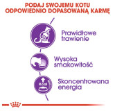 Royal Canin Sensible karma sucha dla kotów dorosłych, o wrażliwym przewodzie pokarmowym 400g