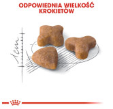 Royal Canin Sensible karma sucha dla kotów dorosłych, o wrażliwym przewodzie pokarmowym 400g