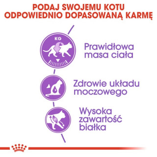 Royal Canin Sterilised karma sucha dla kotów dorosłych, sterylizowanych 4kg