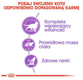 Royal Canin Sterilised 7+ karma sucha dla kotów dorosłych, od 7 do 12 roku życia, sterylizowanych 400g