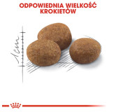 Royal Canin Sterilised 7+ karma sucha dla kotów dorosłych, od 7 do 12 roku życia, sterylizowanych 400g