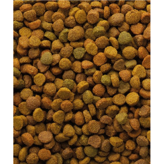 Versele-Laga Oke Cat Classic Variety 10kg