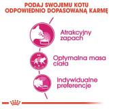 Royal Canin Exigent Aromatic Attraction karma sucha dla kotów dorosłych, wybrednych, kierujących się zapachem 10kg