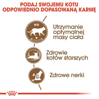 Royal Canin Ageing +12 Sterilised karma sucha dla kotów dojrzałych, sterylizowanych 2kg