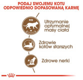 Royal Canin Ageing +12 Sterilised karma sucha dla kotów dojrzałych, sterylizowanych 2kg